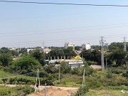 Cheedella