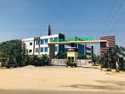 Cheedella