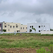 Cheedella