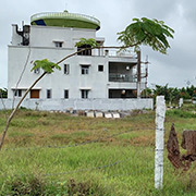 Cheedella