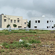 Cheedella